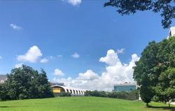 Blk 247 Tampines Street 21 (Tampines), HDB 4 Rooms #223263221